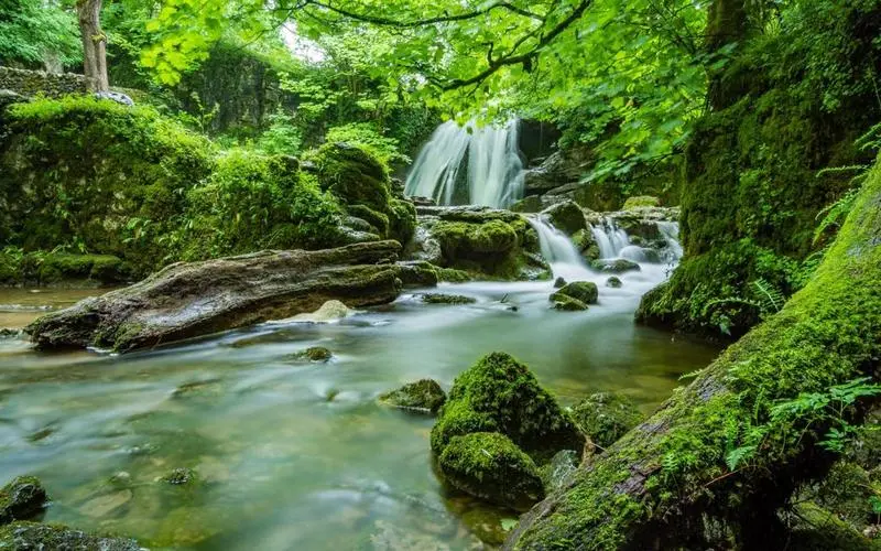 高端智能系统
